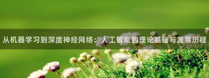 从机器学习到深度神经网络：人工智能的理论基础与发展历程