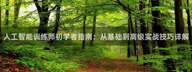 人工智能训练师初学者指南：从基础到高级实战技巧详解