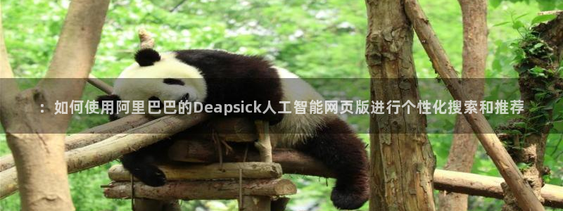 ：如何使用阿里巴巴的Deapsick人工智能网页版进行个性化搜索和推荐