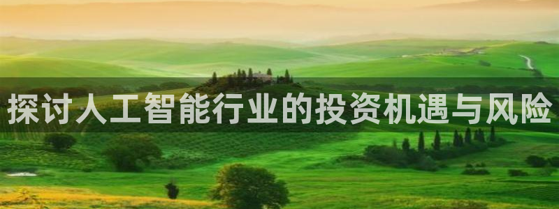 探讨人工智能行业的投资机遇与风险