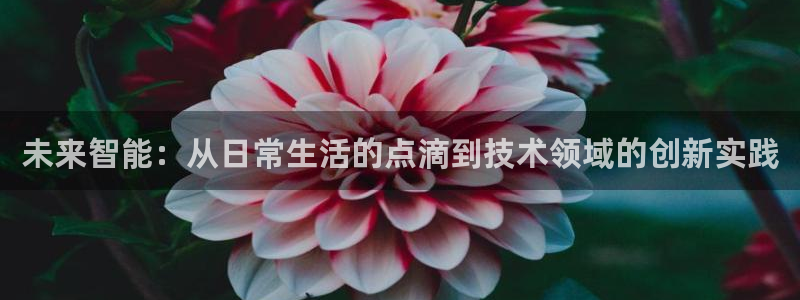 未来智能：从日常生活的点滴到技术领域的创新实践