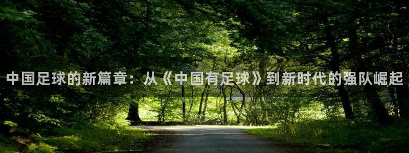 中国足球的新篇章：从《中国有足球》到新时代的强队崛起