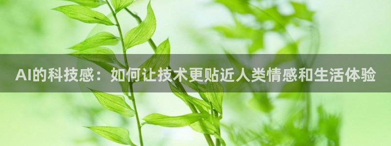 AI的科技感：如何让技术更贴近人类情感和生活体验