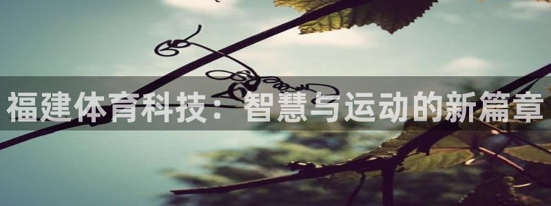 福建体育科技：智慧与运动的新篇章