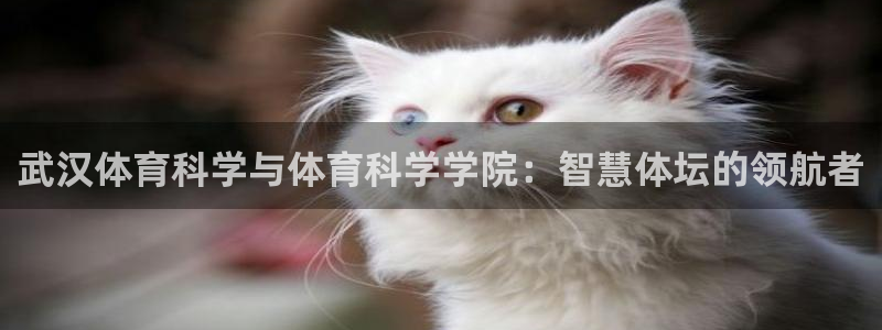 武汉体育科学与体育科学学院：智慧体坛的领航者