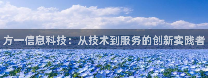 方一信息科技：从技术到服务的创新实践者