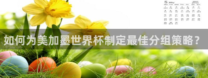 如何为美加墨世界杯制定最佳分组策略？