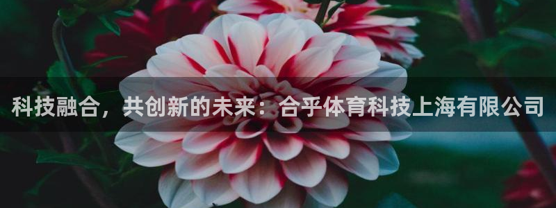科技融合，共创新的未来：合乎体育科技上海有限公司