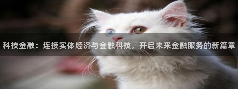 科技金融：连接实体经济与金融科技，开启未来金融服务的新篇章