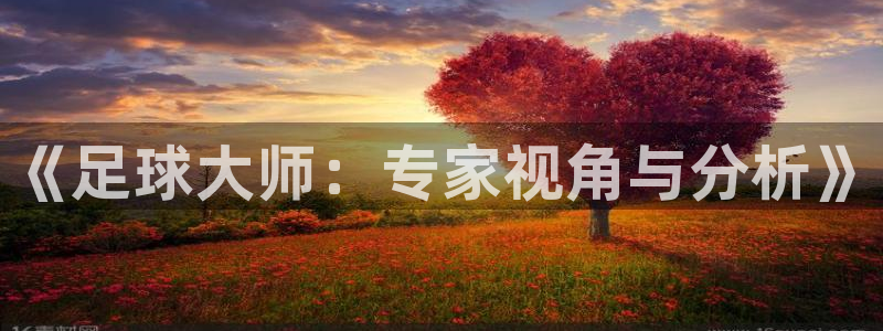 《足球大师：专家视角与分析》