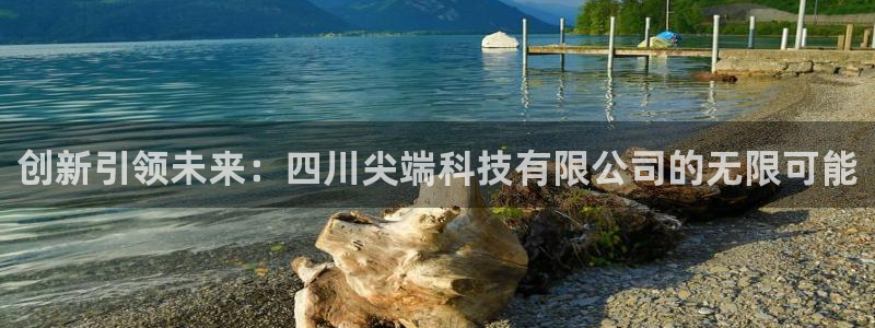 创新引领未来：四川尖端科技有限公司的无限可能