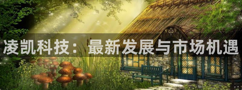 凌凯科技：最新发展与市场机遇