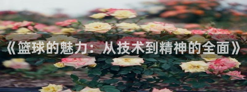 《篮球的魅力：从技术到精神的全面》