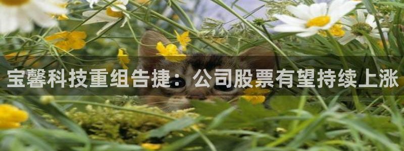 宝馨科技重组告捷：公司股票有望持续上涨