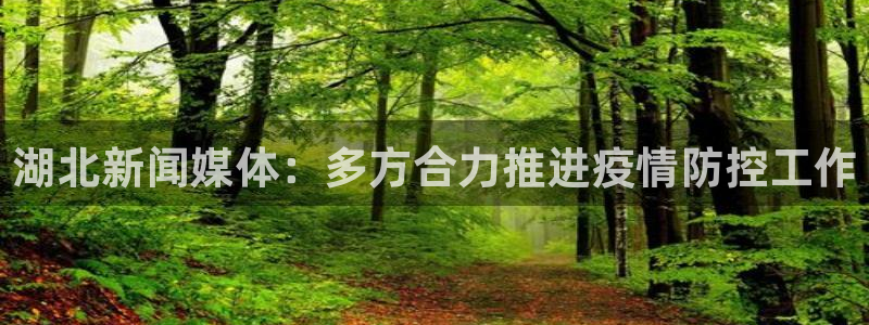 湖北新闻媒体：多方合力推进疫情防控工作