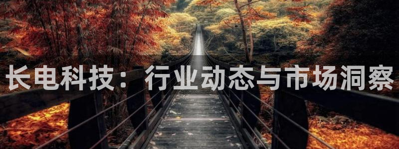 长电科技：行业动态与市场洞察