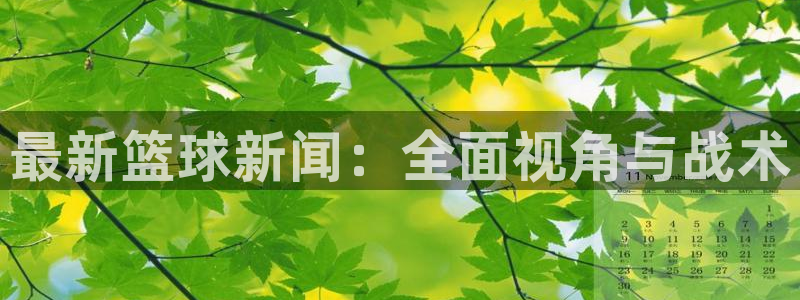 最新篮球新闻：全面视角与战术