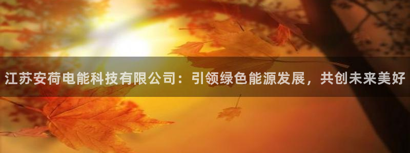 江苏安荷电能科技有限公司：引领绿色能源发展，共创未来美好