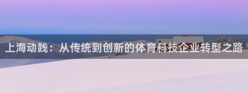 上海动践：从传统到创新的体育科技企业转型之路