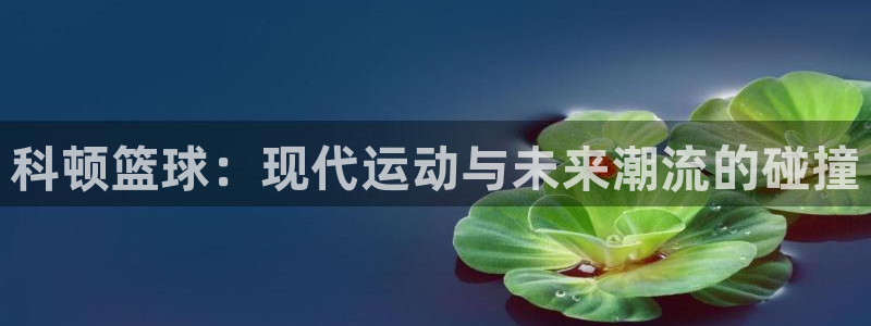 科顿篮球：现代运动与未来潮流的碰撞