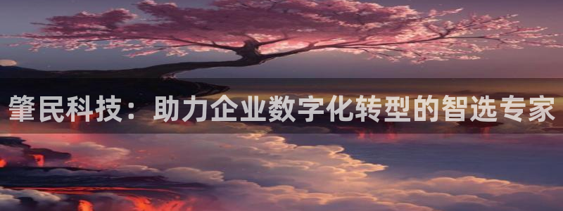 肇民科技：助力企业数字化转型的智选专家