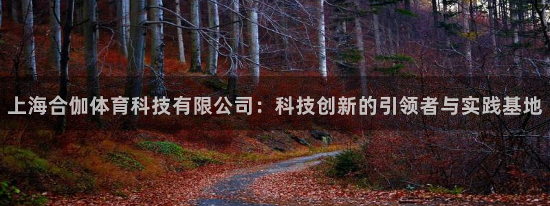 上海合伽体育科技有限公司：科技创新的引领者与实践基地
