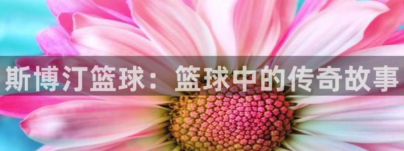 斯博汀篮球：篮球中的传奇故事