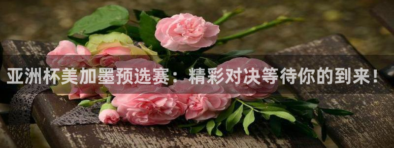 亚洲杯美加墨预选赛：精彩对决等待你的到来！