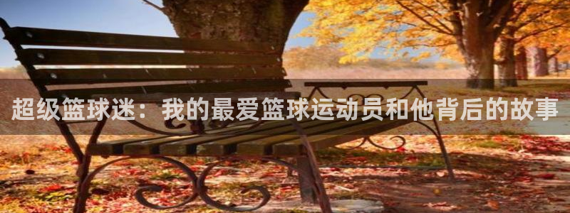 超级篮球迷：我的最爱篮球运动员和他背后的故事
