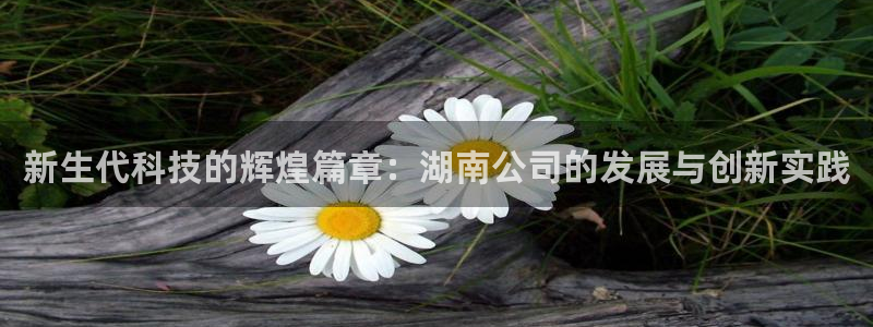 新生代科技的辉煌篇章：湖南公司的发展与创新实践