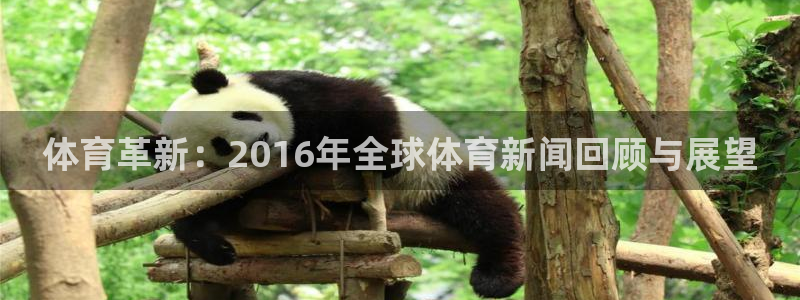 体育革新：2016年全球体育新闻回顾与展望