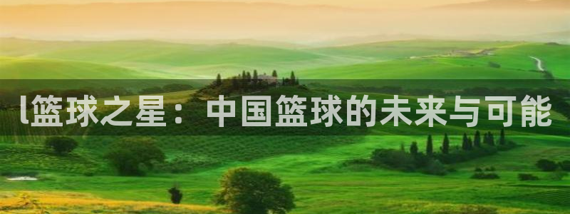 l篮球之星：中国篮球的未来与可能