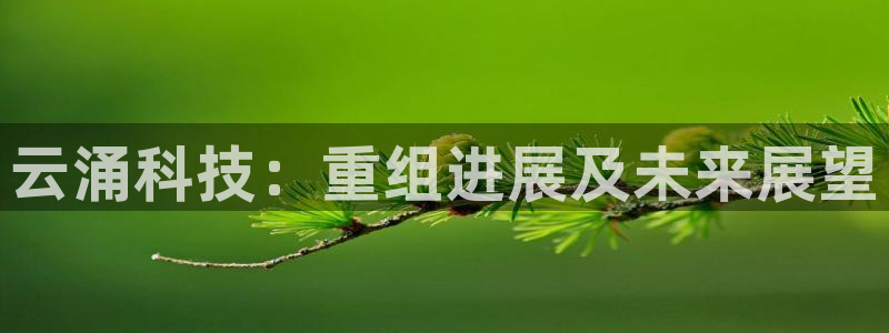 云涌科技：重组进展及未来展望