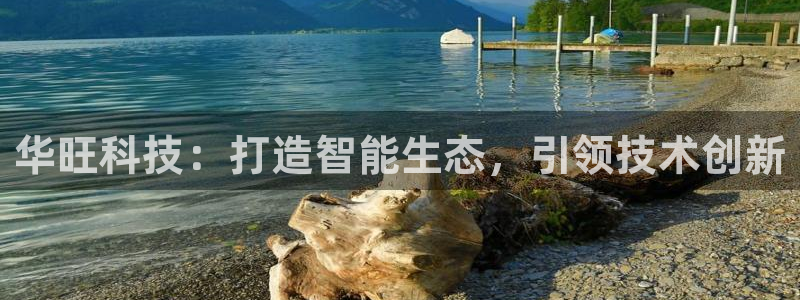 华旺科技：打造智能生态，引领技术创新