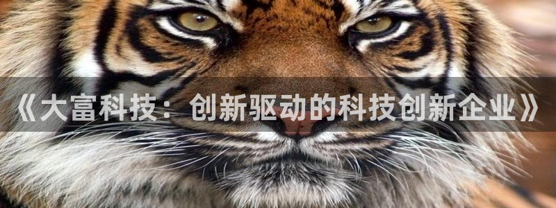 《大富科技：创新驱动的科技创新企业》