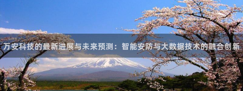 万安科技的最新进展与未来预测：智能安防与大数据技术的融合创新