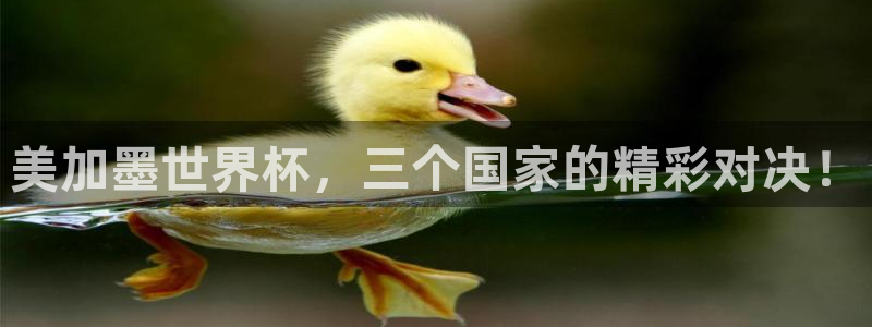 美加墨世界杯，三个国家的精彩对决！