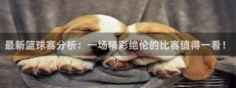 最新篮球赛分析：一场精彩绝伦的比赛值得一看！