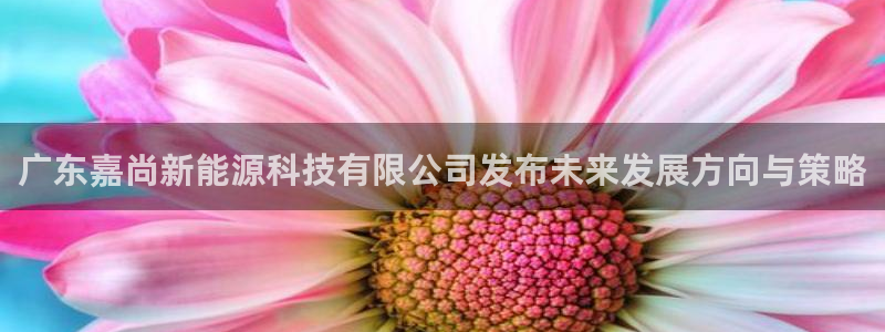 广东嘉尚新能源科技有限公司发布未来发展方向与策略