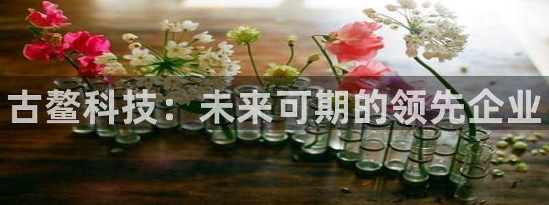 古鳌科技：未来可期的领先企业