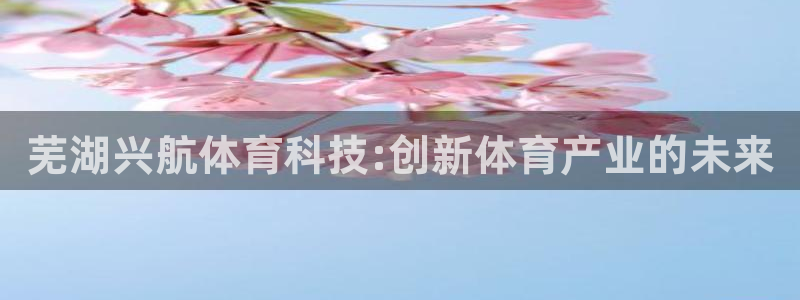 芜湖兴航体育科技:创新体育产业的未来