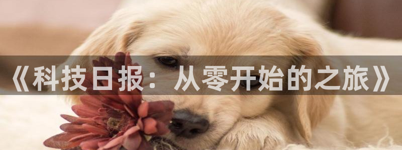 《科技日报：从零开始的之旅》